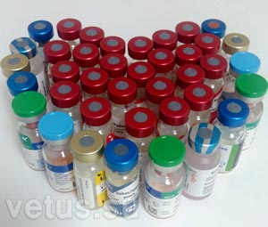 вакцинация животных вакцинация животных